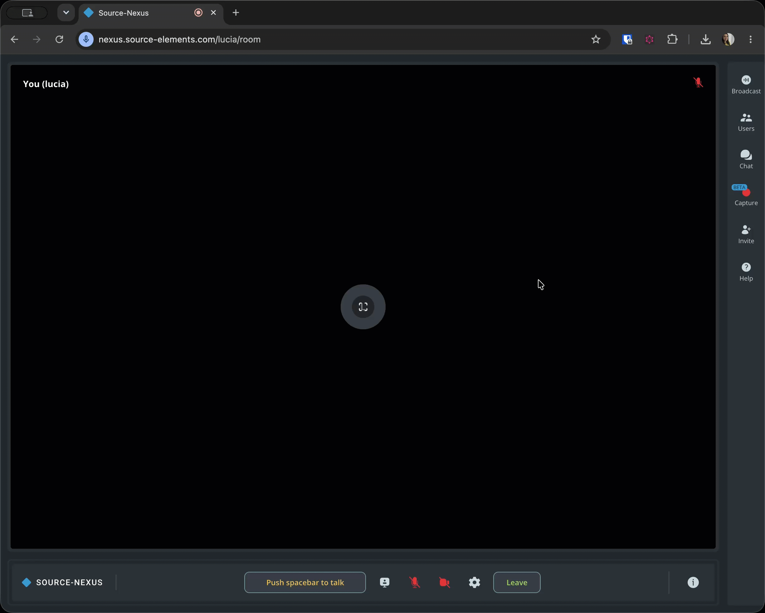 SourceNexusGateway_MuteOwnMic_2