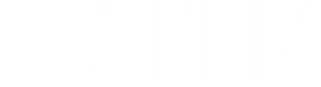 netflix-logo-copy