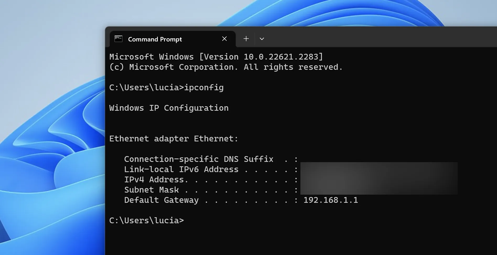 1699440530601 image